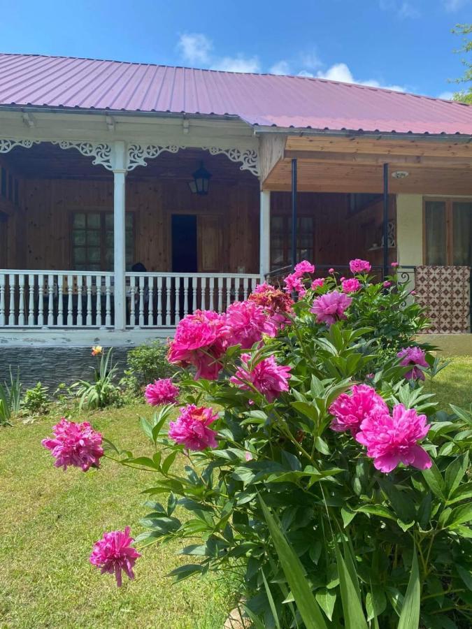 Guest House Lailashi Surmushi Dış mekan fotoğraf