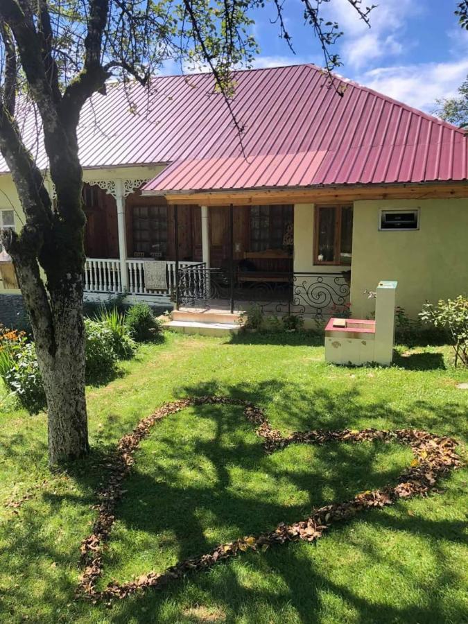 Guest House Lailashi Surmushi Dış mekan fotoğraf