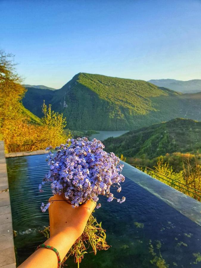 Guest House Lailashi Surmushi Dış mekan fotoğraf