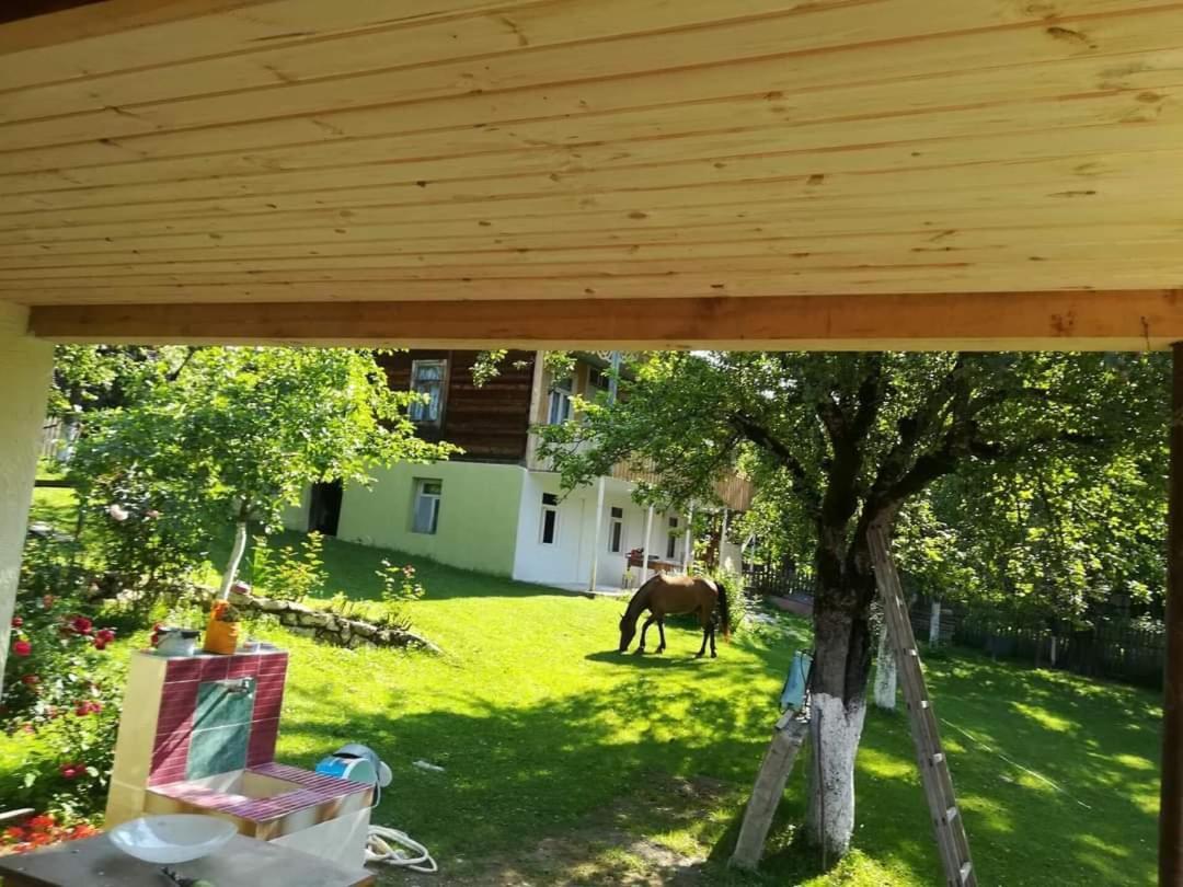 Guest House Lailashi Surmushi Dış mekan fotoğraf