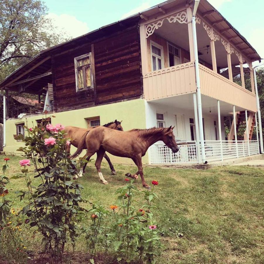 Guest House Lailashi Surmushi Dış mekan fotoğraf