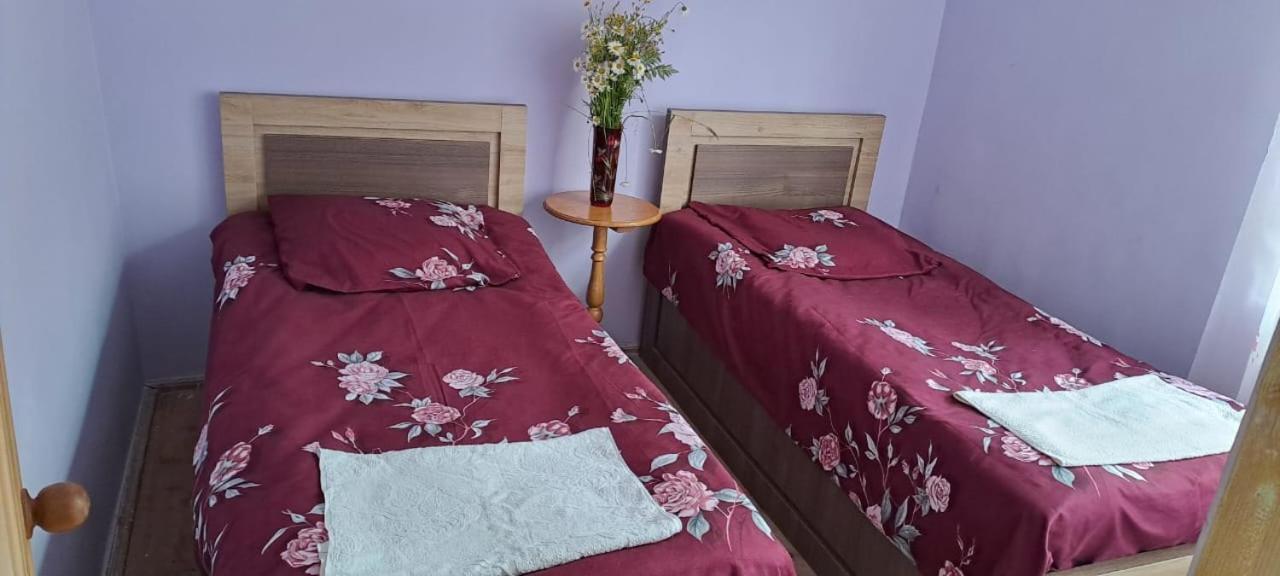 Guest House Lailashi Surmushi Dış mekan fotoğraf